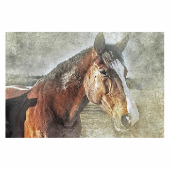 DIY-5D Diamante Pintura de um Velho Cavalo de Emenda com Conjunto Completo Bordado de Diamante Imagem em Mosaico Fechado
